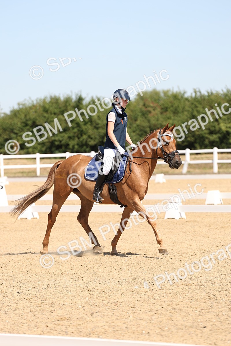 SBM_001226 - Intro 2
