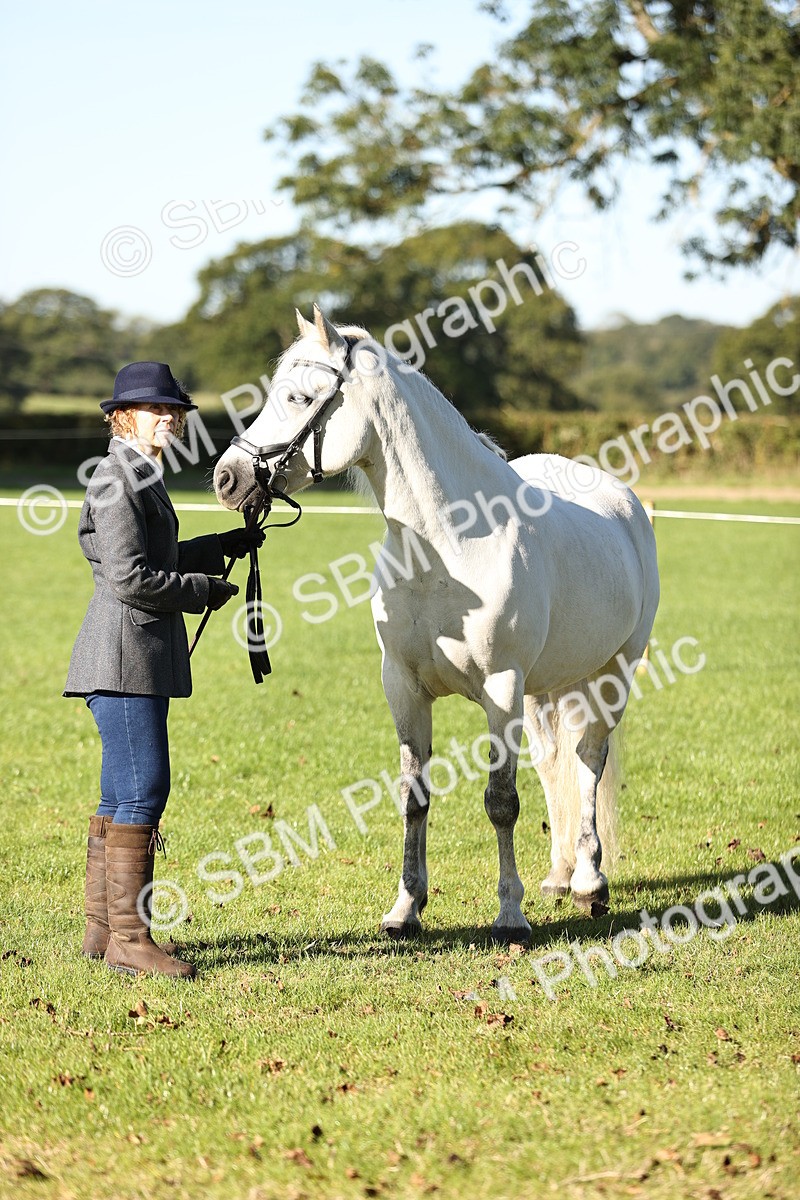 SBM_15817 - S1 - TSR in Hand Horse & Pony Showing