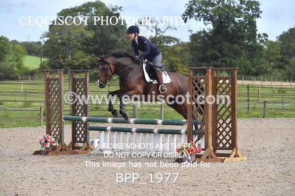 BPP_1977 - CLASS 11 SUN Club/ Unaffiliated 80cms Open