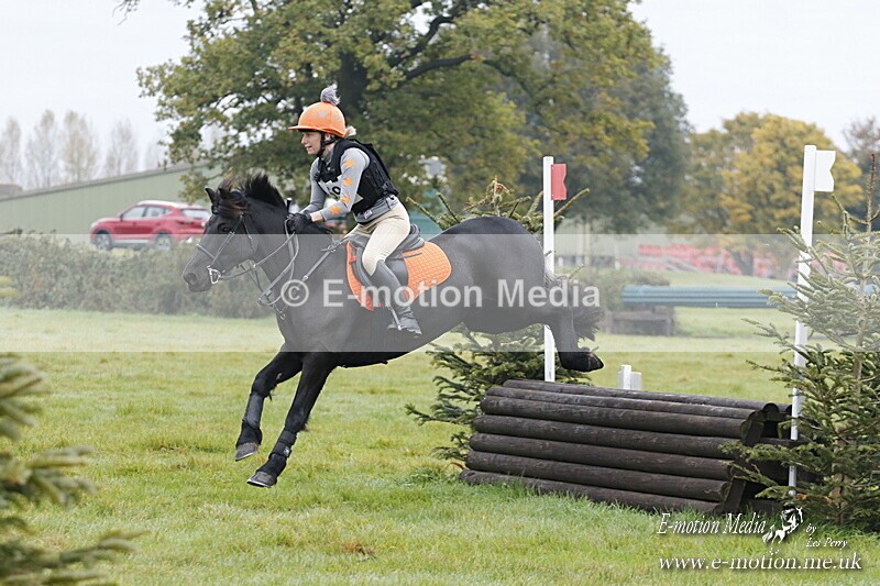 WWHT 181020 WWHT 181020 321 - WWEC Novice Restricted (0.80m) 18/10/20