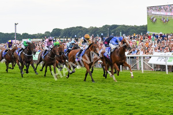 170623-Race 2-Wild Lion-0356 - Race 2 2.35pm Sky Bet Handicap