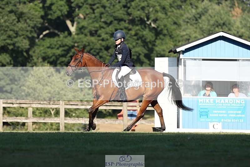 250823A-084653-25776 - Arena D