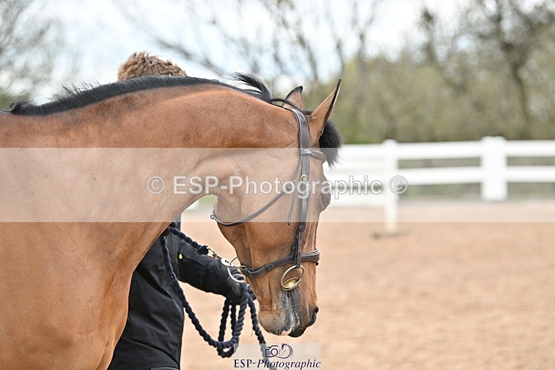 250423-142101-01094 - 2pm to 3pm