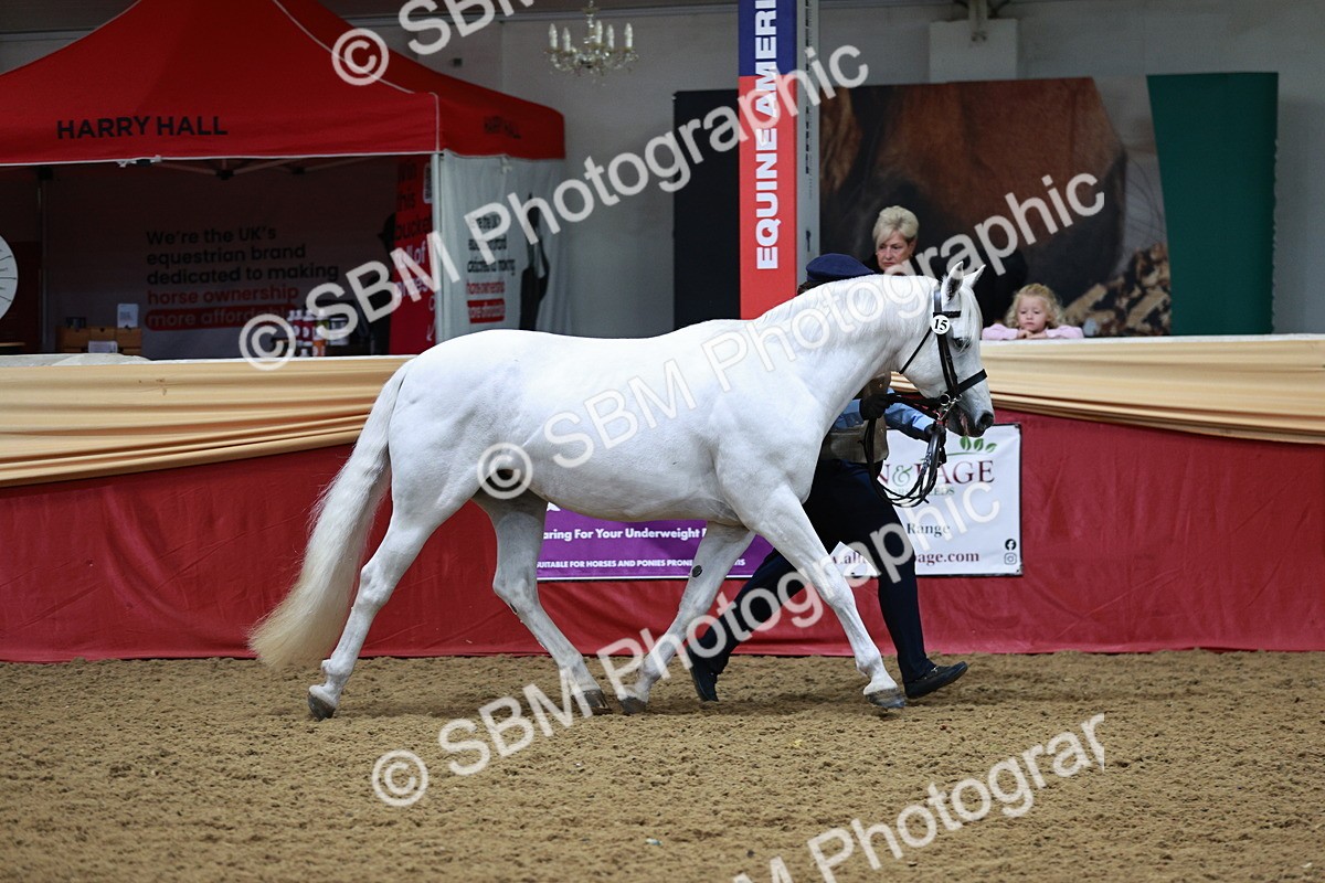 SBM_01146 - Class 3A - Area IH Pre-Vet