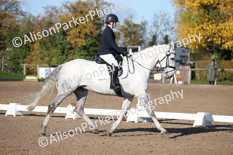 20251102-0452 - Class 3 - Novice 5