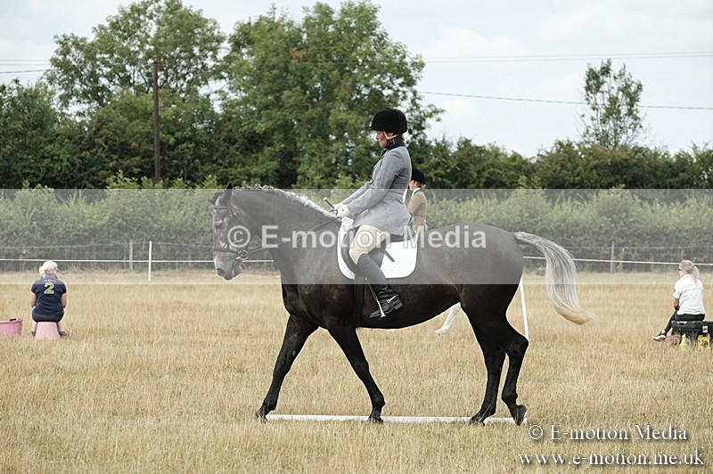 _PJP5759 - Dressage Classes BVRC Show 2018