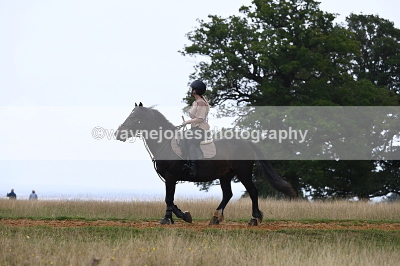 DSC_8348 - Time at Statue 13:52 to 14:33