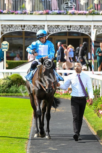 140625-Race 5-Egoli-2 - Race 5 4.10pm Reg Griffin Appreciation EBFstallions.com Maiden Stakes