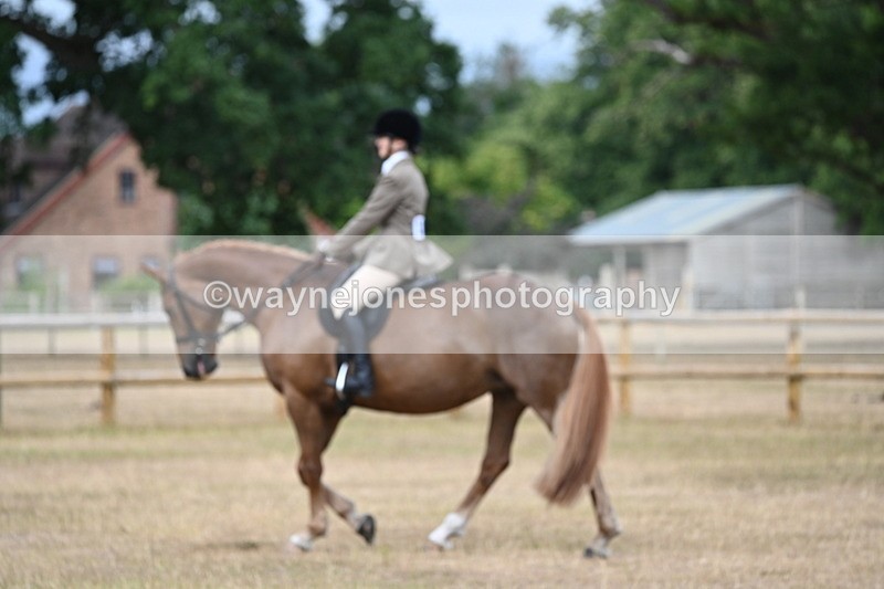 WJ6_7372 - Class 9 Tack and Turnout