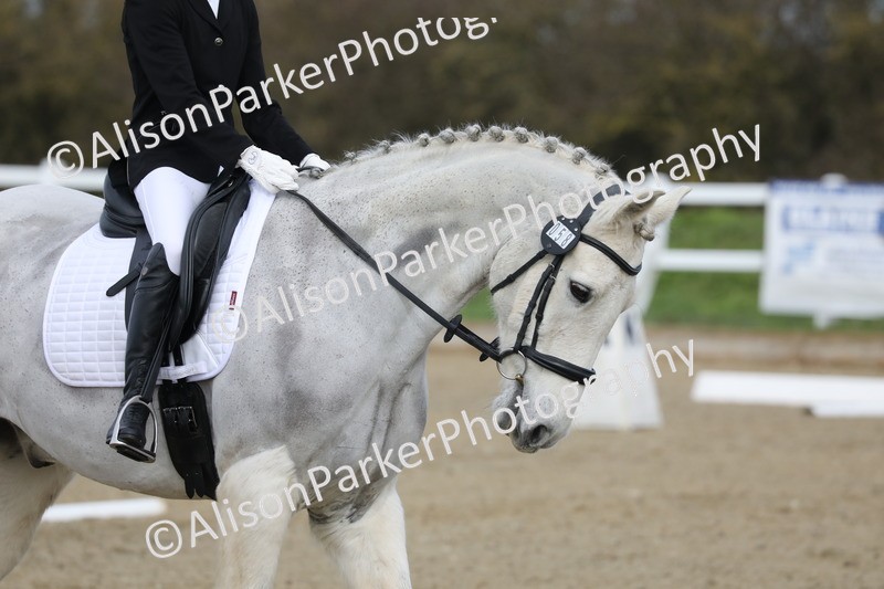 20260314-1983 - CT2 - Prelim 1