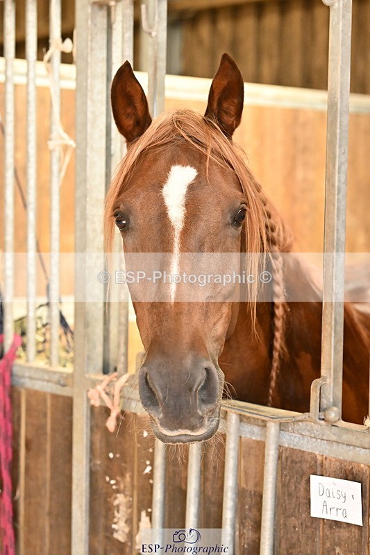 250821B-125213-00448 - Stable Shots and Group Photo