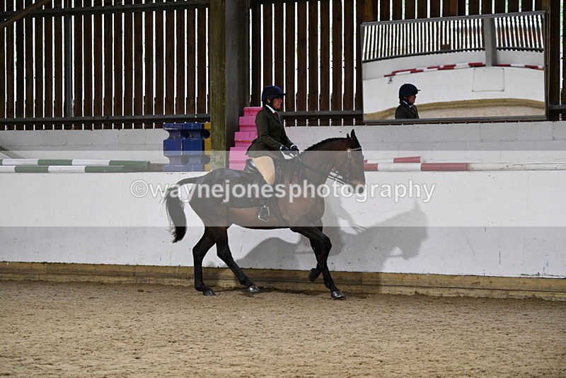 WJ5_8824 - Class 15 Ridden Show Horse