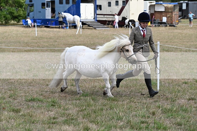 WJ6_5949 - Class 19 In-hand Veterans (Uploaded correct folder)