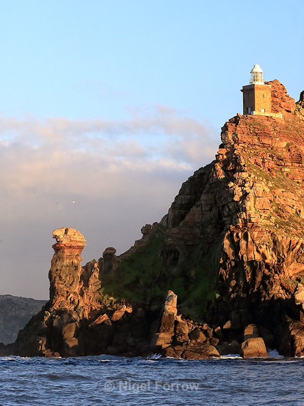 Cape Point, South Africa - South Africa