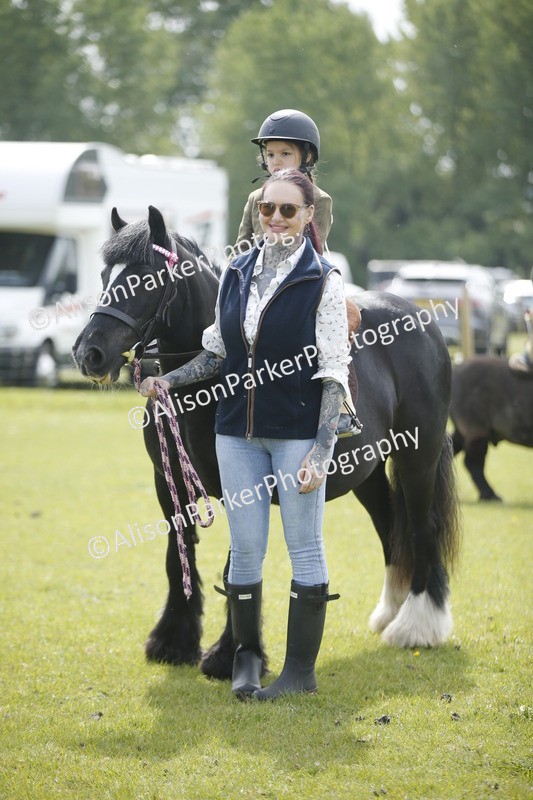 20260426-1907 - Class 7 - Pony Judge Would Most Like To Take Home