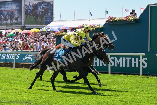 120725-Race 1-Remmooz-0082 - Race 1 2.00pm John Smith's Racing Handicap