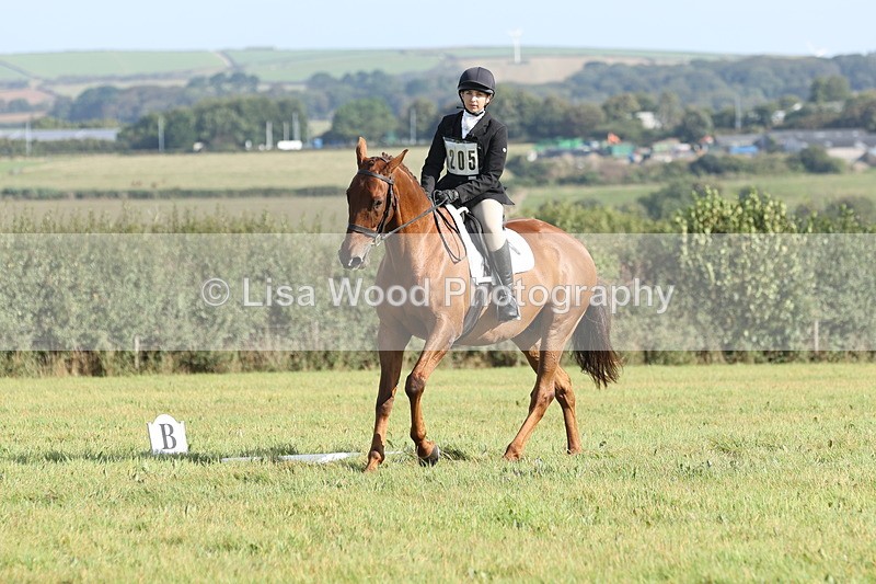 JPP_8034 - Class 2A: Trekenning Open: Dressage