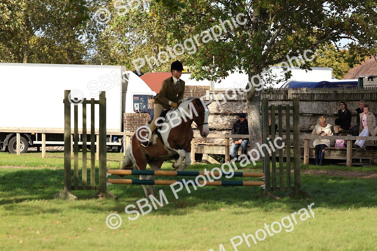 SBM_52505 - S13 - Pony Club Pony