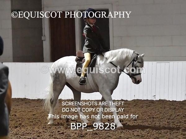 BPP_9828 - RING 1