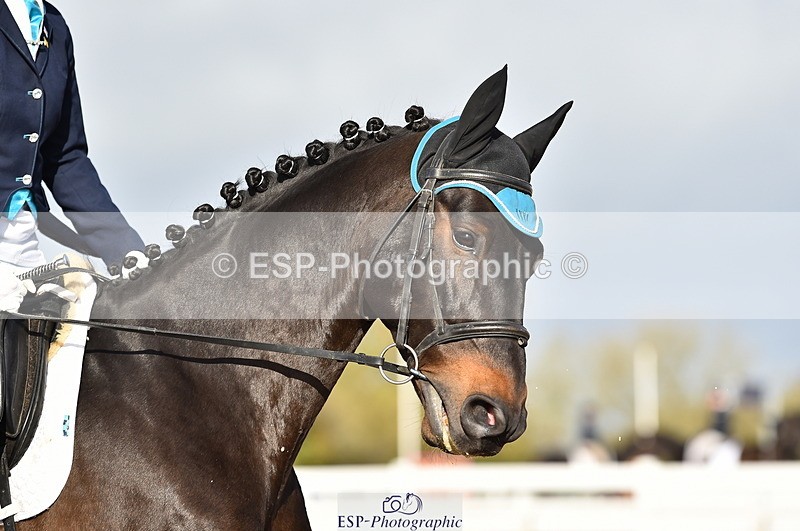 231104A-110606-01456 - Cls 5 Novice 37A