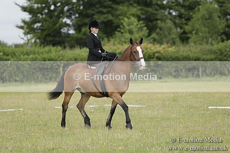 BVR160717-618 - Class 1 & 23a Dressage 16/07/17