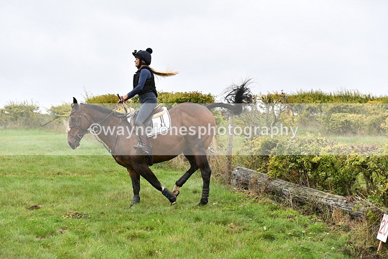 WJ5_6915 - Time 13:31 to 14:00