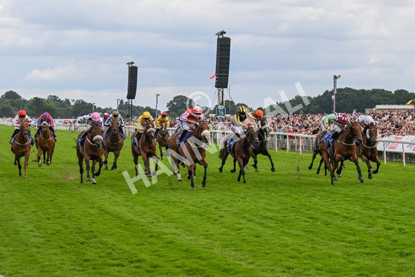 270724-Race 1-Night On Earth-6667 - Race 1 2.05pm Sky Bet 'Jump Jockeys' Nunthorpe' Handicap
