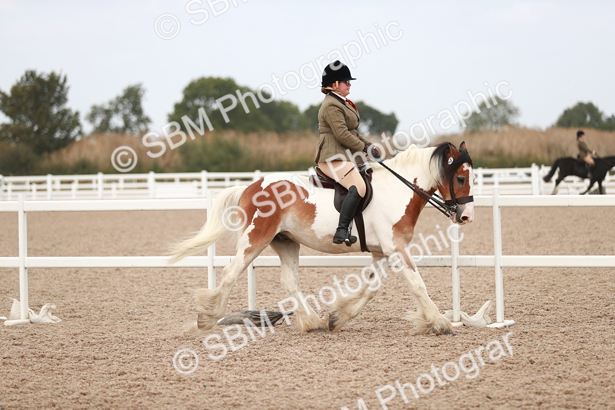SBM_16623 - Class 214 Ridden Cob