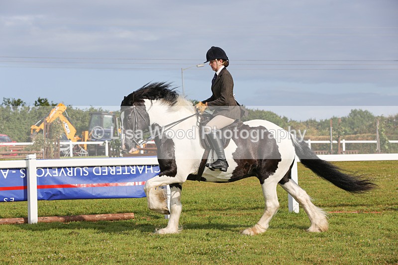 1X9A3141 - Class 27:  Ridden Native/Trad Coloured Horse