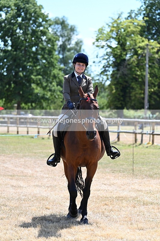 WJ7_2830 - Class 7 Riding Club Show Horse