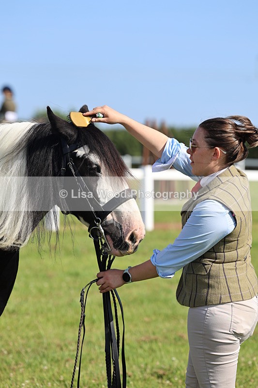 IMG_1576 - Class 30: Ridden Native/Trad Coloured Pony