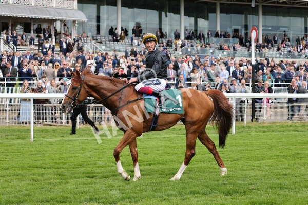 yr13052022r4-91 - Race 4 3.35pm The Paddy Power Yorkshire Cup (British Champions Series Race)