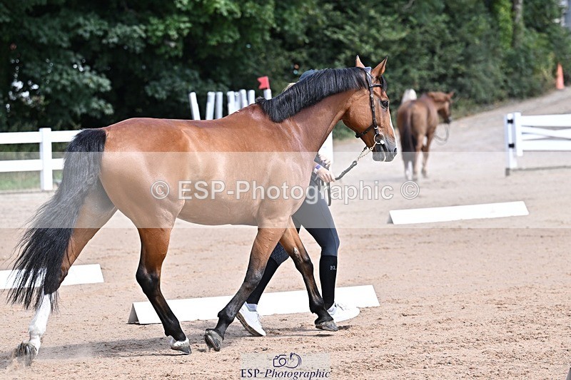 250716-124227-00127 - Trot Up 12.30 to 1.30