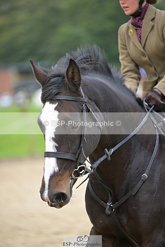 240929-121629-00574 - Cls 2 80-85cm 12.15 to End