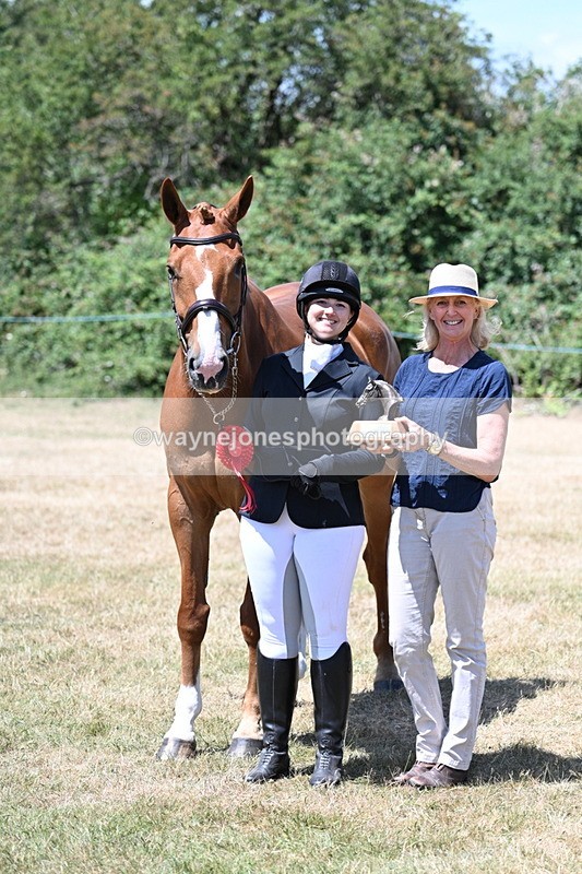 WJ7_2510 - Most Handsome Gelding Champs