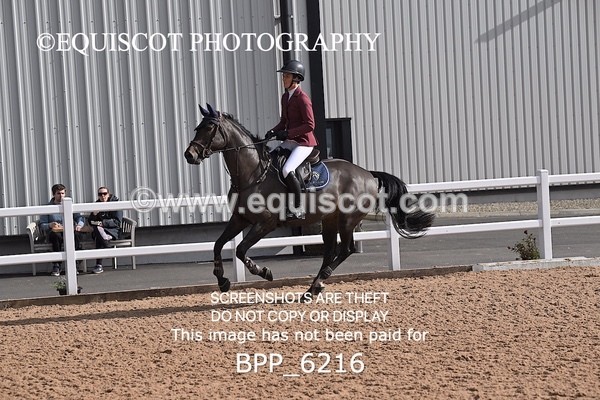 BPP_6216 - CLASS 11 THURS GFS Saddles Senior Newcomers/1.10m Open