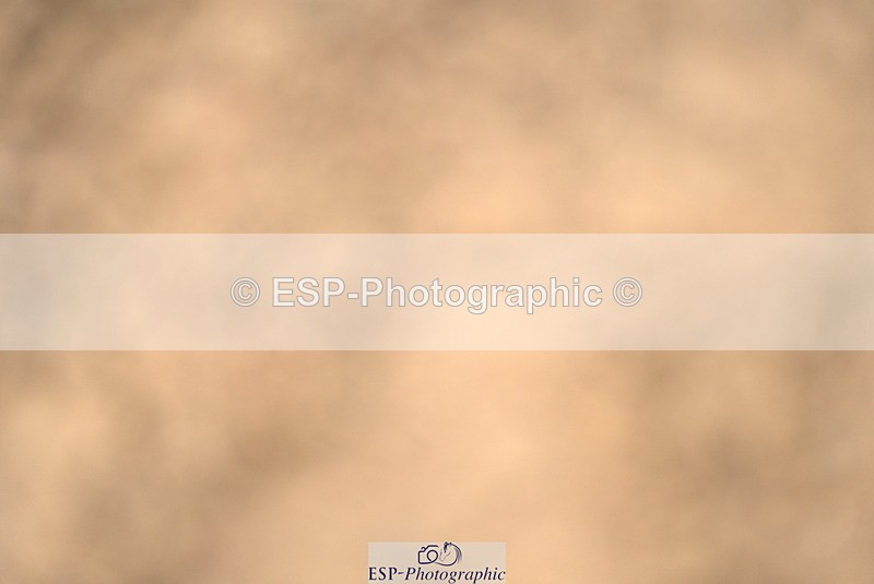 240317A-104223-05021 - Cls 25 Snr 1.20m Open