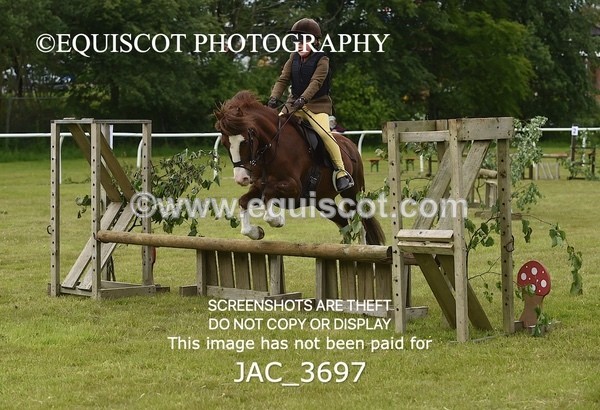 JAC_3697 - 75CM WORKING HUNTER