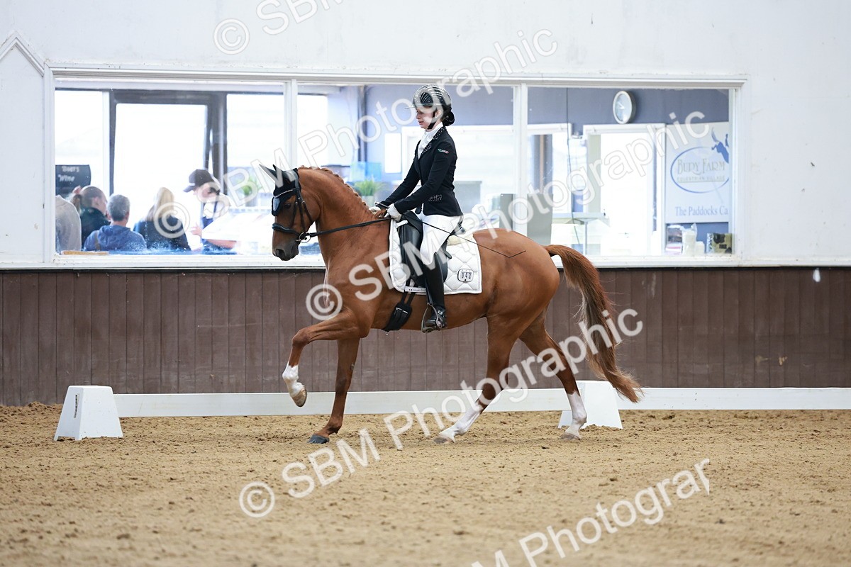 SBM_016781 - Class15 - FEI Pony