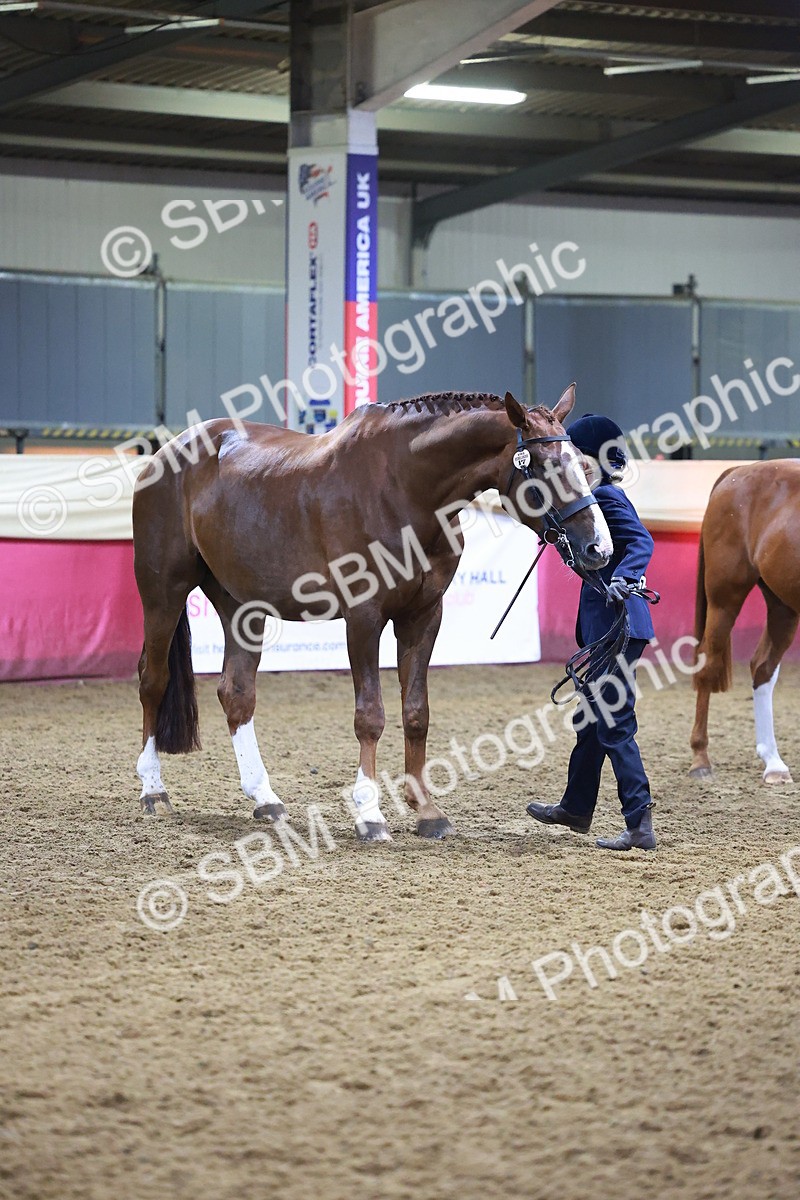 SBM_14730 - Class J - Foreign Breeds Champ
