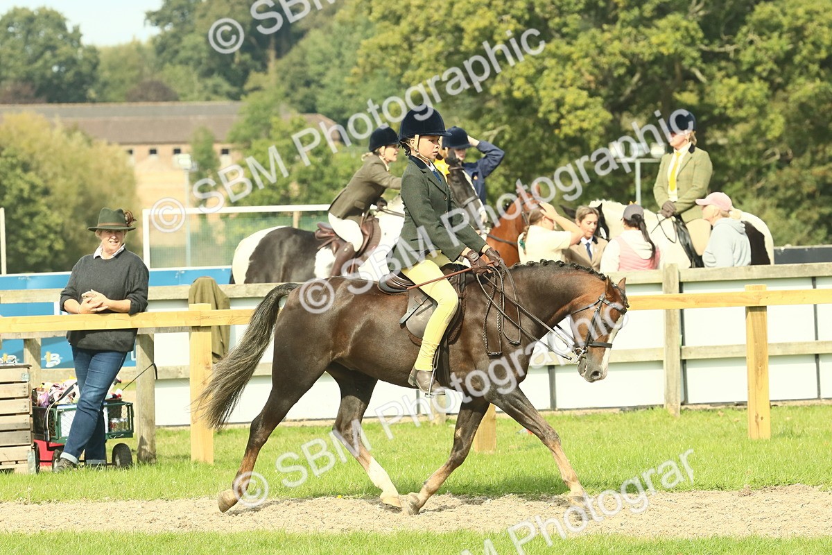 SBM_69028 - S58 - Mini Show Cob Ridden