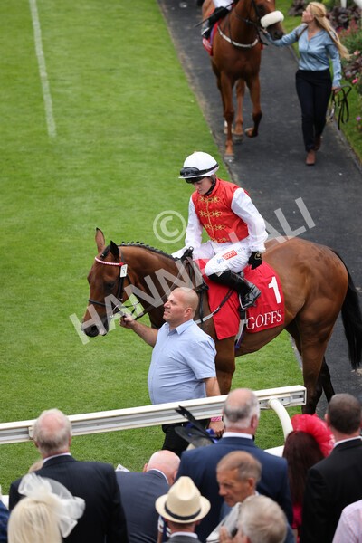 yr19082021r2-10 - Race 2 2.25pm Goffs UK Premier Yearling Stakes