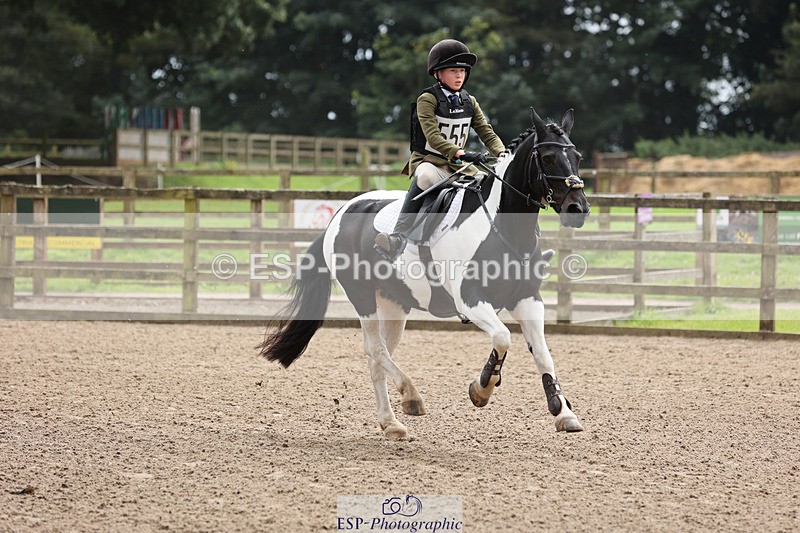 240804-133301-14302 - 555-Jack_Wish-WESTERLAKE_BUTTONWEED