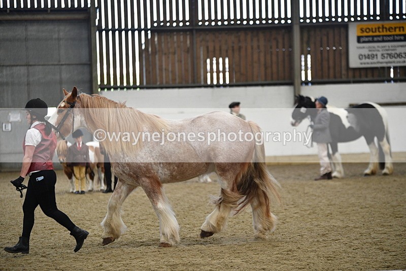 WJ5_4778 - Class 7 In hand coloured / odd coloured