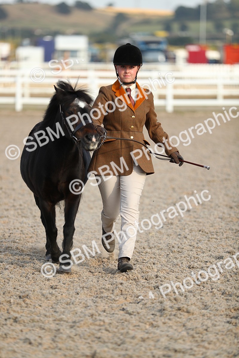SBM_09037 - Class 29 IH Veteran Pony