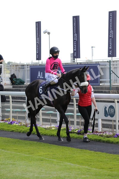 yr13052021r2-4 - Race 2 2.10pm Al Basti Equiworld Dubai Middleton Fillies' Stakes