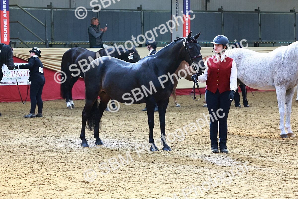 SBM_22412 - Class 902 - Supreme Final - IH Diamond