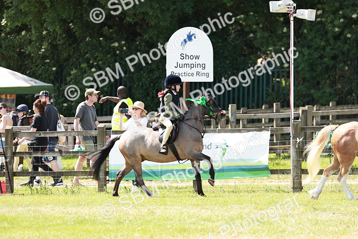 SBM_13676 - Class 108-109 - BSPS LIHS Open Gradle & Nursery Stakes
