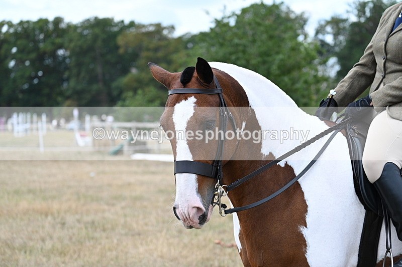 WJ7_5319 - Class 12 Ridden Cob
