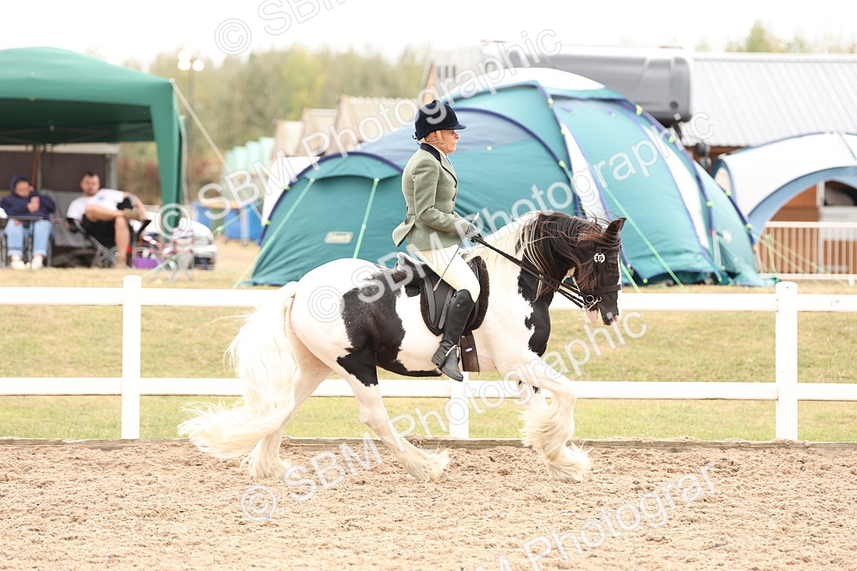 SBM_19655 - Class 216 - Ridden Traditional - Native Cob